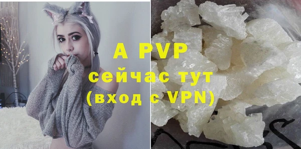 дживик Саяногорск