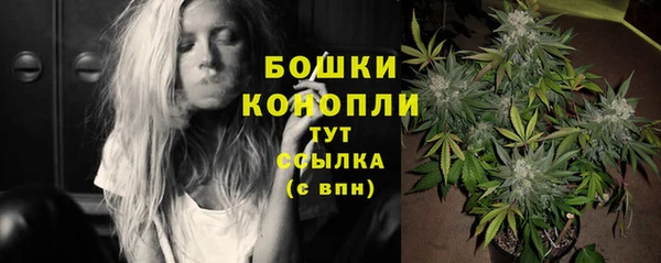 дживик Саяногорск